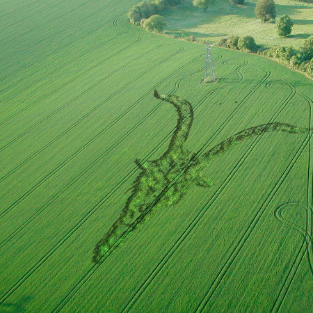 Goat-headed image in a field somewhere