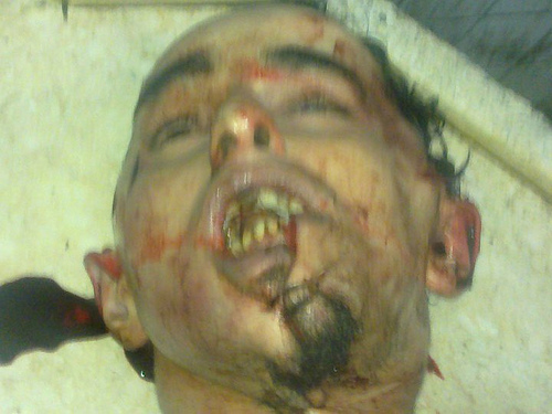 4695482110_e175ff0100