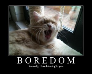 Secret Chief cat is fascinated by this discussion.