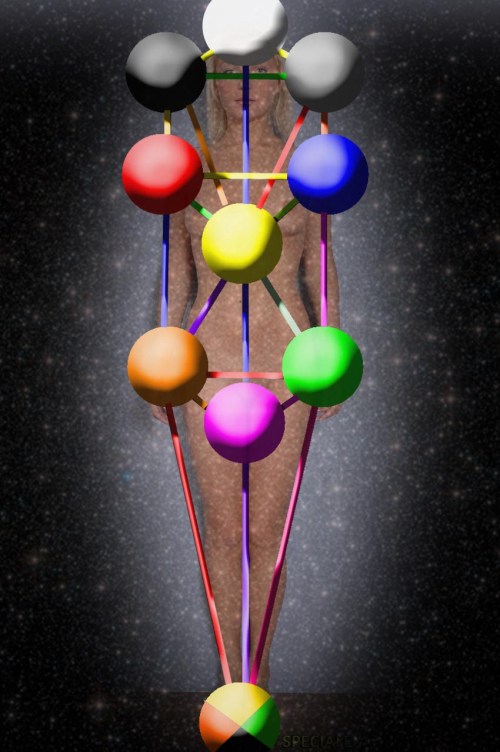 The Microcosmic Tree of Life. © Alex Sumner 2017
